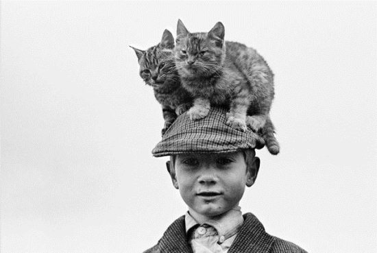 Epic Vintage Animal Pictures