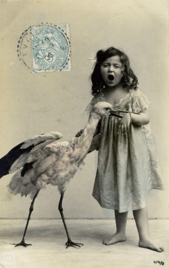 Epic Vintage Animal Pictures