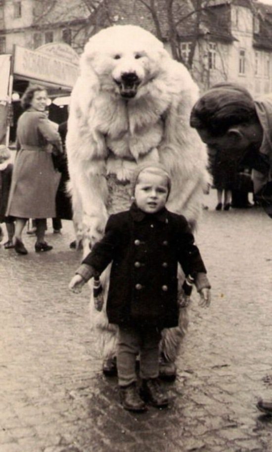 Epic Vintage Animal Pictures