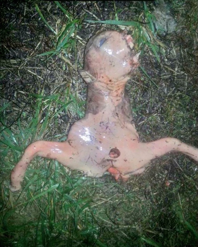 After her Californian UFO sighting was dismissed as a rocket test-fire, Facebook user Gianna Peponis allegedly found this dead creature and launched another conspiracy. People took to the internet with cries of “alien” and “government cover-up,” but Peponis had them all fooled. In fact, the original poster was a Missourian, and the picture was of a premature cow fetus in his backyard.