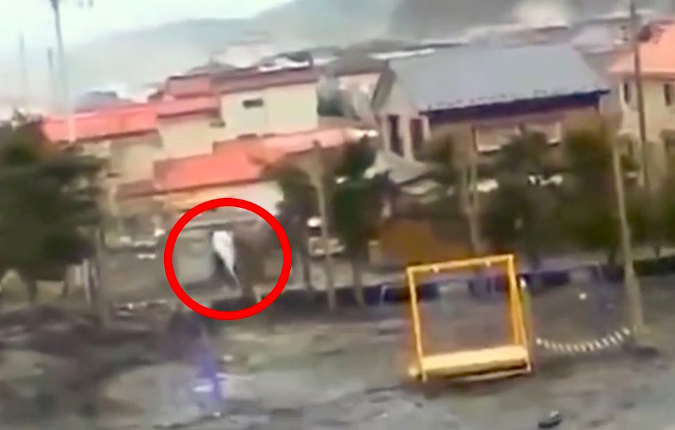 During the 2011 Japanese tsunami, somebody caught several sightings on video of a weird white “spirit dolphin” that seems to fly into the air from the water and then dissipate. Opinions are divided on whether it’s a mystery monster or a gas canister exploding, but so far no professional explanation has been put forward.