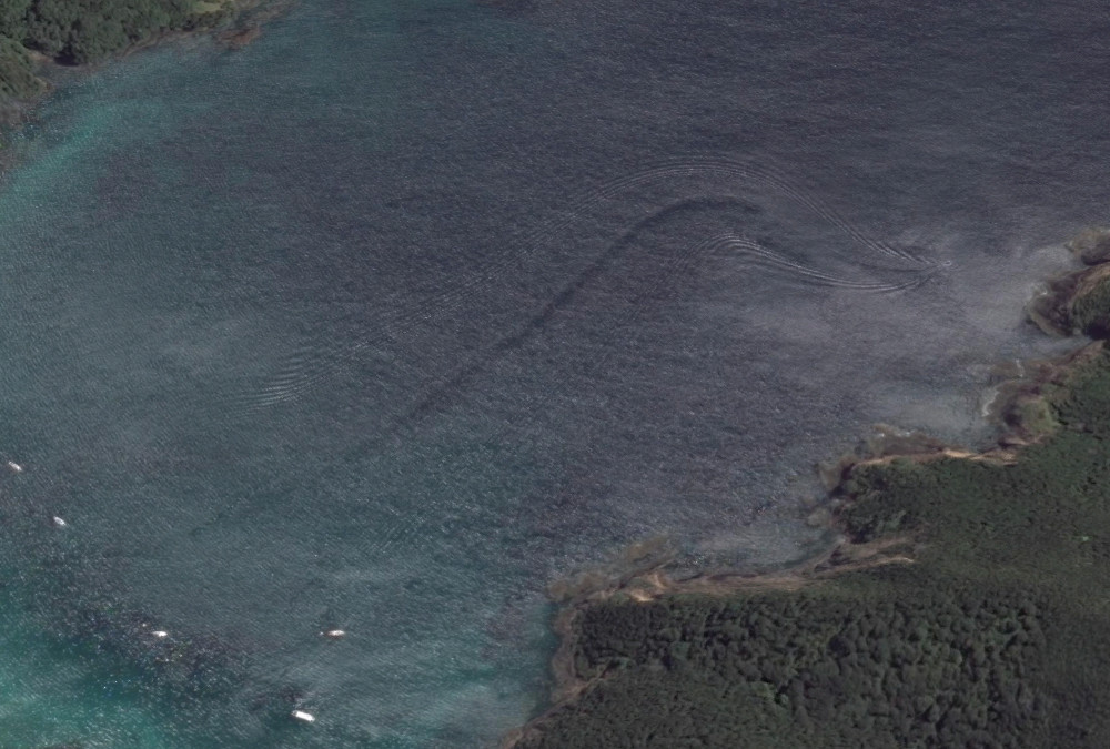 Google Maps can pick up some weird images, but what do you make of this one? Taken from Oke Bay, New Zealand, it appears to show a huge serpent; zooming in, however, reveals that it was probably just a misleading boat trail. Probably.