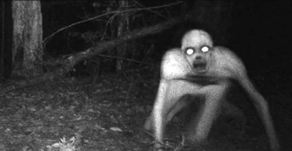The Creepiest Horror Creatures Caught On Camera - Wtf Gallery | eBaum's