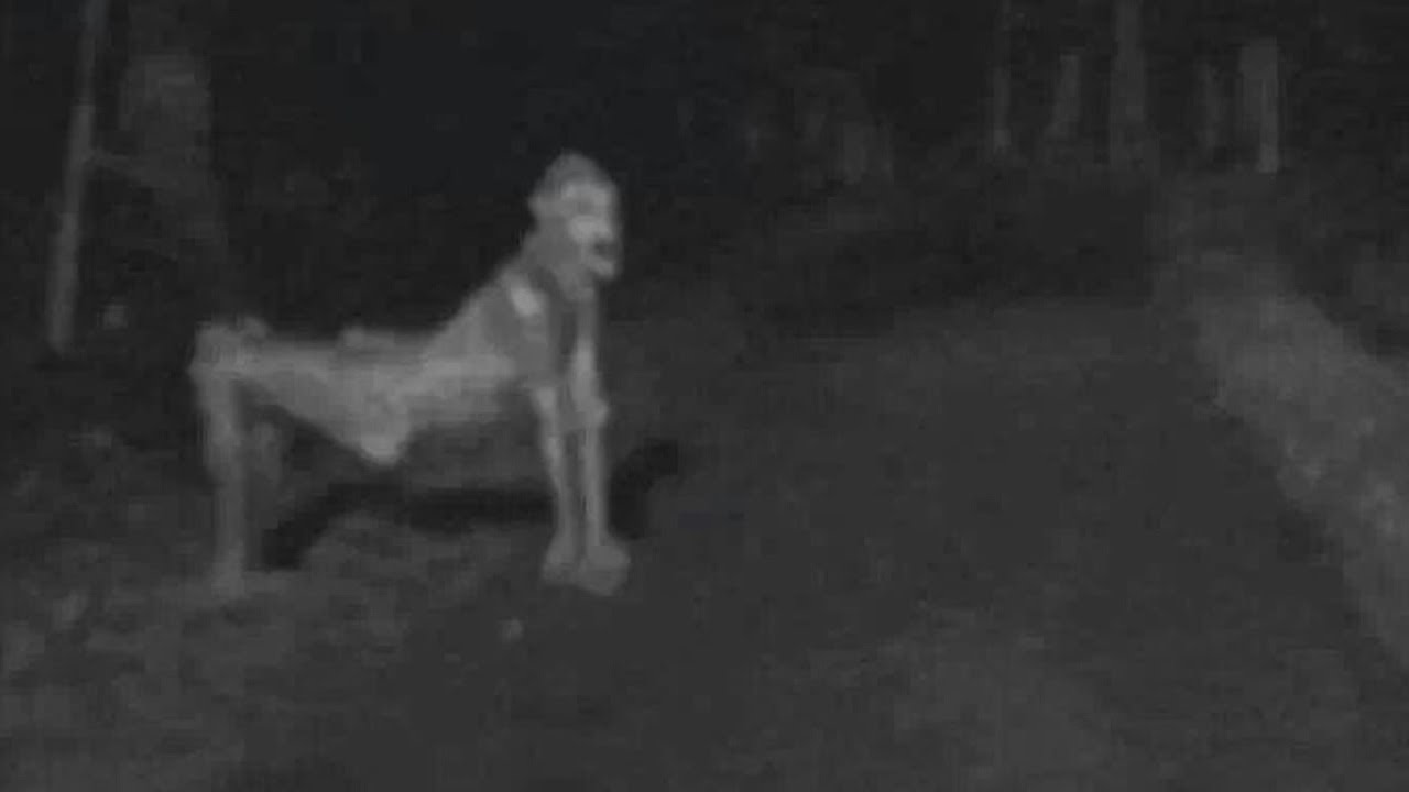 Facebook users began buzzing over a “skinwalker” when this bizarre picture taken near a Native American reservation in New Mexico made the rounds. Though the Native American belief in Skinwalkers, or legendary shapeshifters, is real, this picture isn’t. The image is a still from the 1980s sci-fi film Xtro.