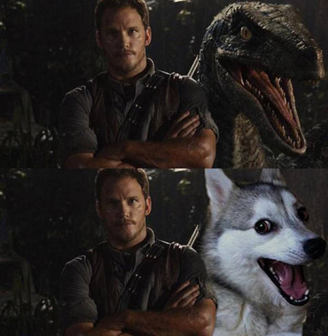 memes jurassic world