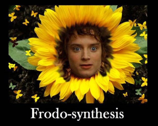 frodo synthesis meme - Frodosynthesis