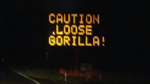 Hilarious Hacked Electronic Road Signs