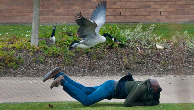 Perfectly Timed Photos Of Animals Going In For The Kill