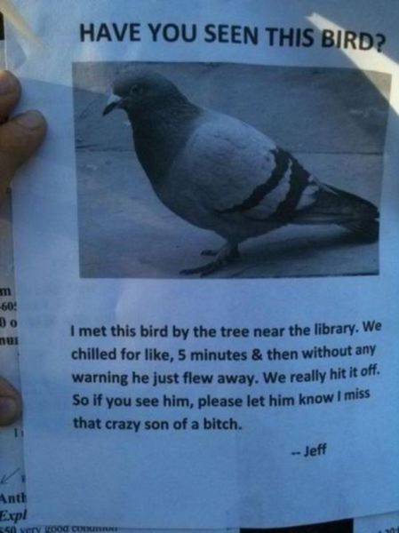 Hilariously Useless Flyers