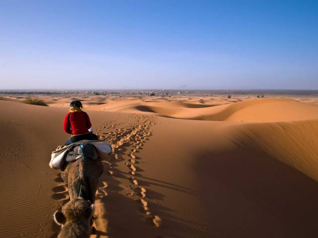 Thunder through sand dunes on a desert safari outside Abu Dhabi.