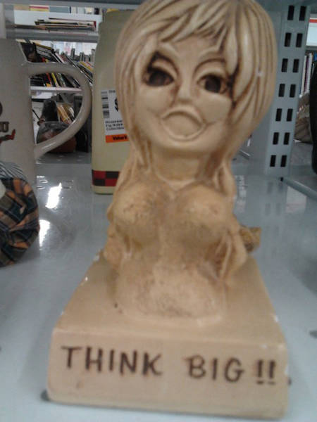 There's Some Weird Ass Crap At The Thrift Store