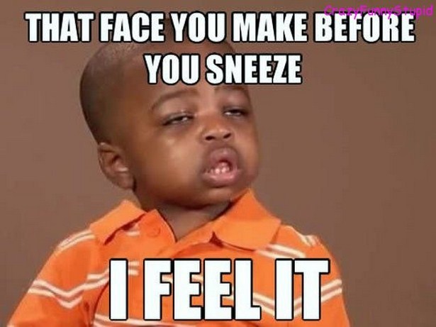 work meme about your face before you sneeze