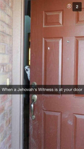 we don t want any dog - When a Jehovah's Witness is at your door