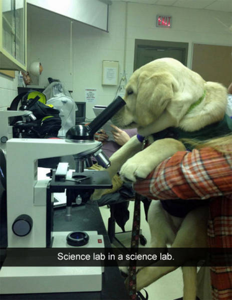 science lab in a science lab - Science lab in a science lab.