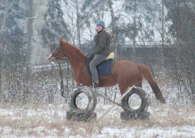 Perfectly Timed Photos To Perfect Your Day