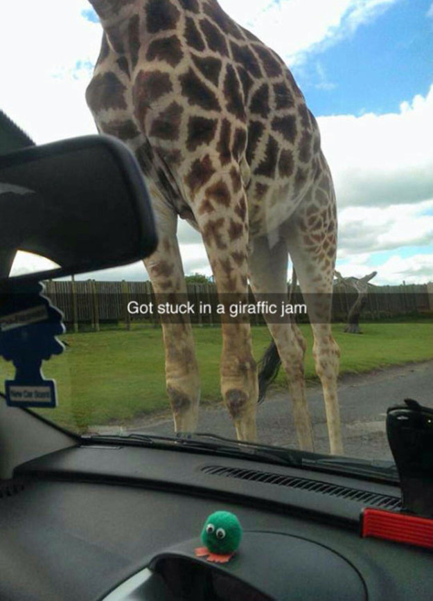 funny puns snapchat - Got stuck in a giraffic jam