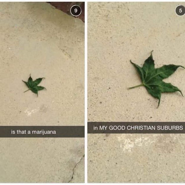 marijuana in my good christian suburbs - in My Good Christian Suburbs is that a marijuana