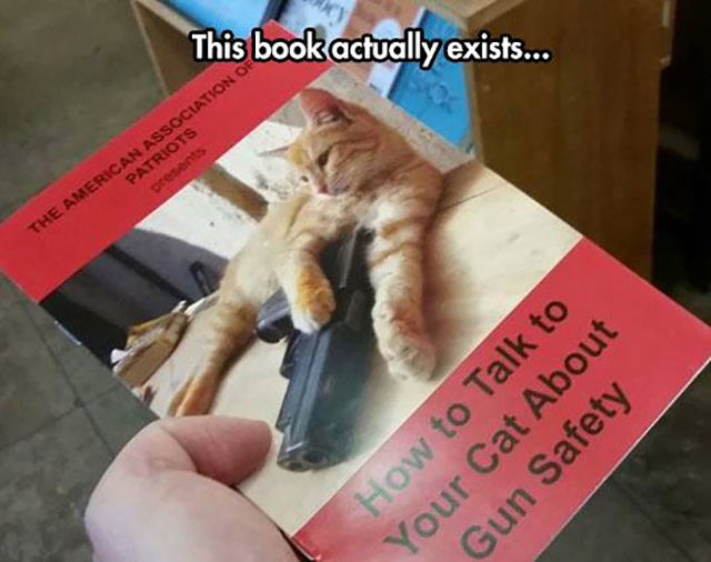wtf photo caption - This book actually exists... The American Association Patriots presents How to Talk to Your Cat About Gun Safety