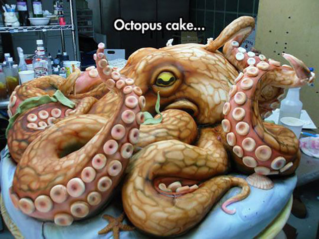 wtf octopus cake - Octopus cake...