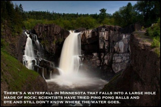 Bizarre Scientific Discoveries You Need To Know