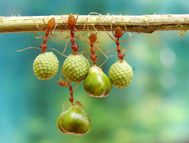 38 Of The Most Gorgeous Photos Of Animals Ever Taken