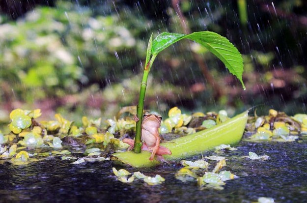 38 Of The Most Gorgeous Photos Of Animals Ever Taken