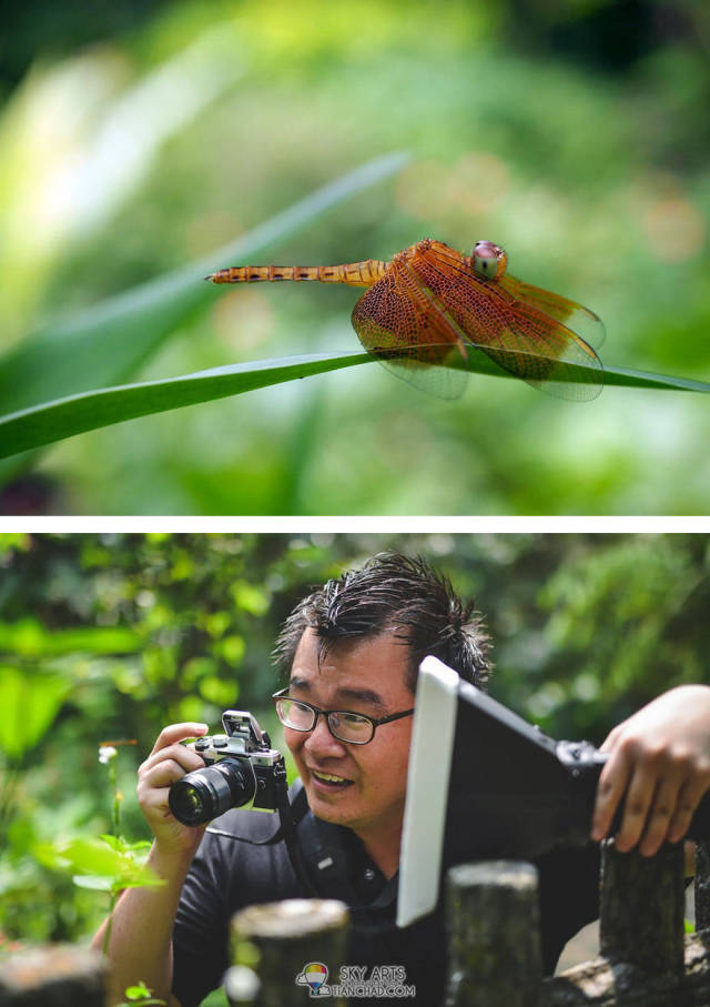 The Secrets About How These Beautiful Photos Were Taken