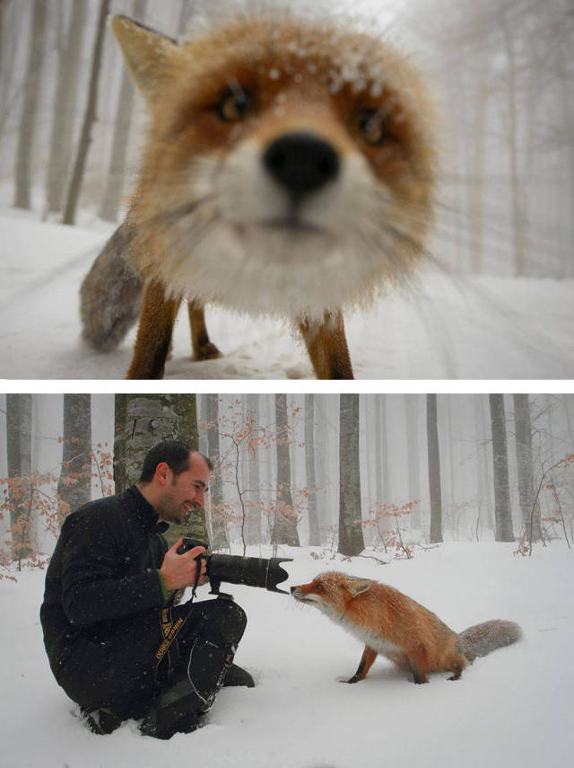 The Secrets About How These Beautiful Photos Were Taken