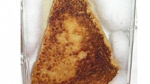 10-year-old Virgin Mary grilled cheese sandwich sold for $28,000.