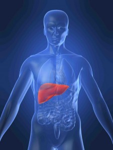 A human liver reached $5.7M before being shutdown by eBay.