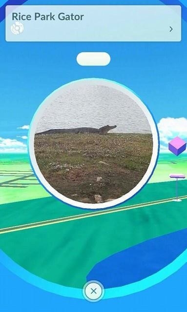 I… I would still use this PokéStop.