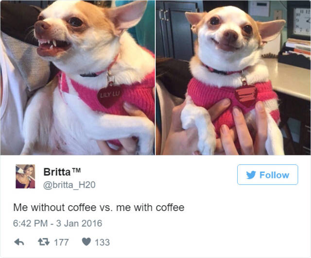 Hilarious Tweets That All Coffee Lovers Will Relate To