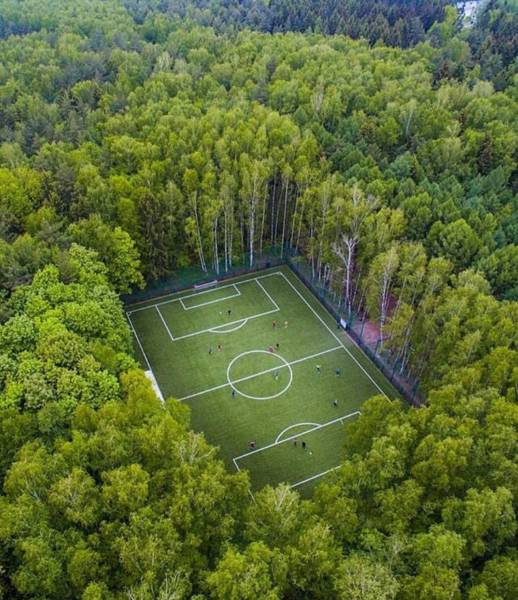 Soccer field in the middle of the woods in Moscow