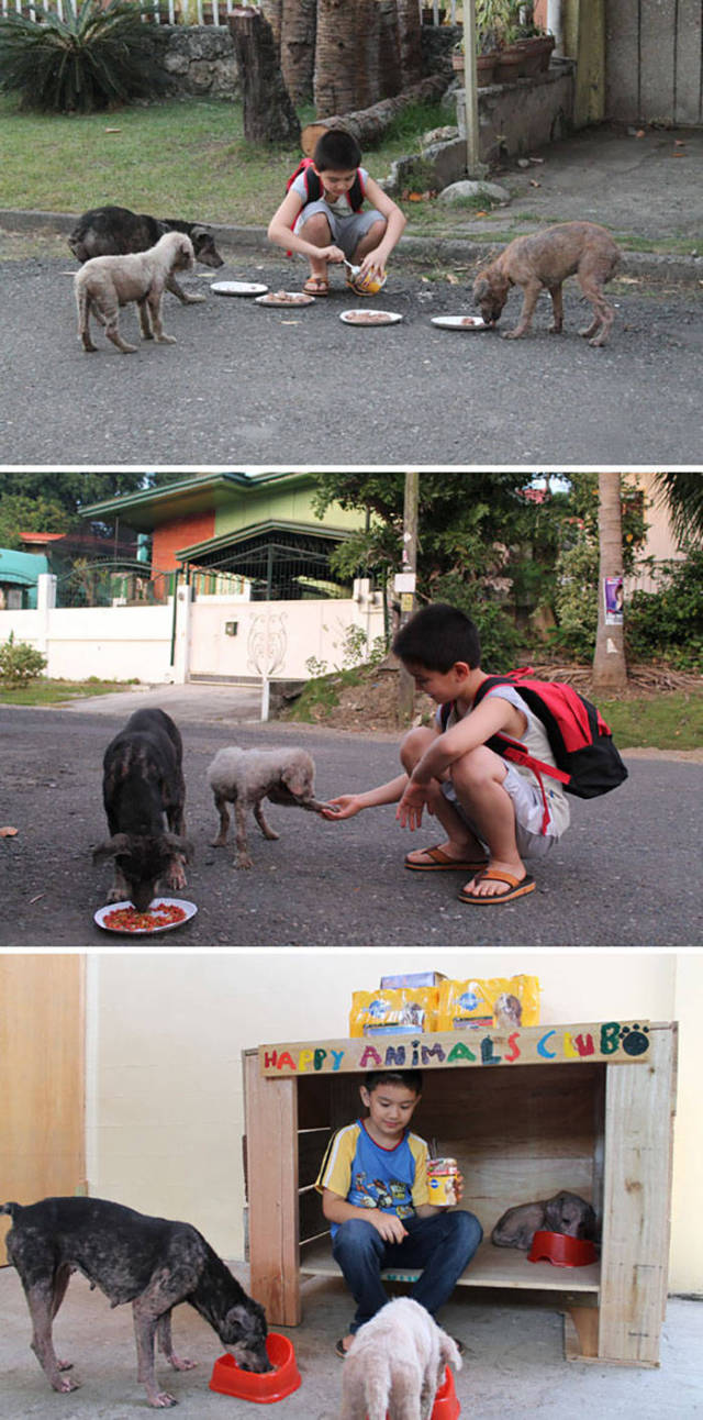 9-year-old boy created a no-kill animal shelter in his garage.