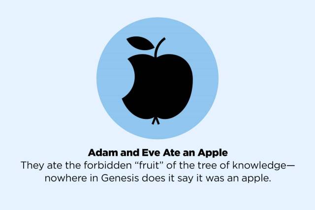 fake facts - Adam and Eve Ate an Apple They ate the forbidden "fruit" of the tree of knowledge nowhere in Genesis does it say it was an apple.