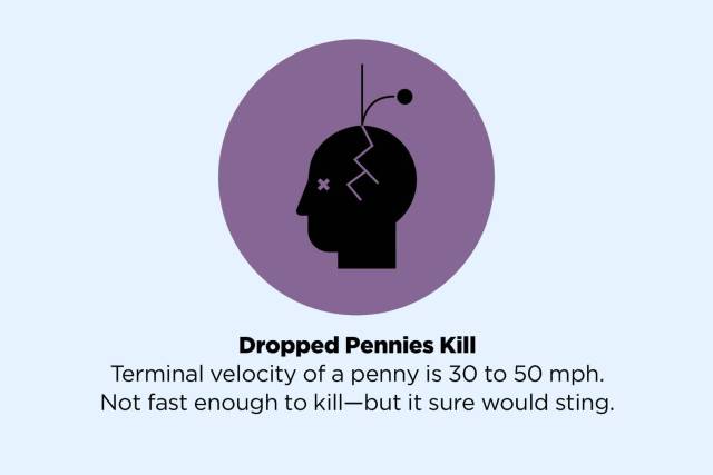 common facts that are myths - Dropped Pennies Kill Terminal velocity of a penny is 30 to 50 mph. Not fast enough to killbut it sure would sting.