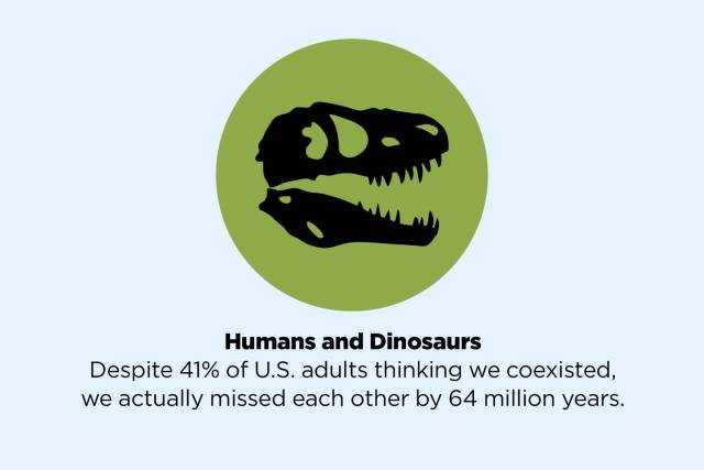 jaw - Humans and Dinosaurs Despite 41% of U.S. adults thinking we coexisted, we actually missed each other by 64 million years.