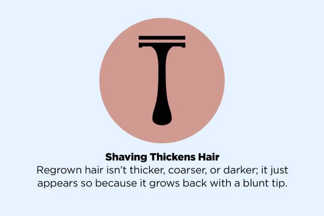 true or false facts - Shaving Thickens Hair Regrown hair isn't thicker, coarser, or darker; it just appears so because it grows back with a blunt tip.