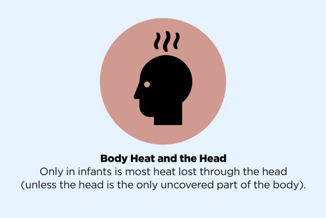 human behavior - Body Heat and the Head Only in infants is most heat lost through the head unless the head is the only uncovered part of the body.