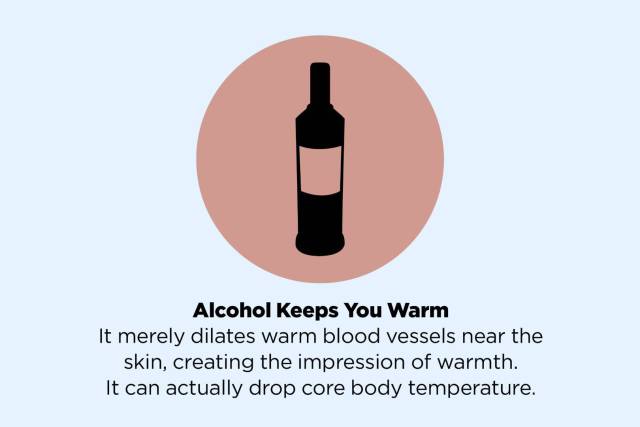 diagram - Alcohol Keeps You Warm It merely dilates warm blood vessels near the skin, creating the impression of warmth. It can actually drop core body temperature.