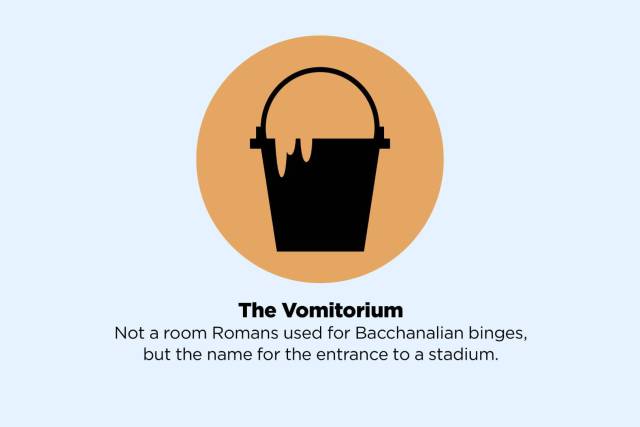 graphics - The Vomitorium Not a room Romans used for Bacchanalian binges, but the name for the entrance to a stadium.
