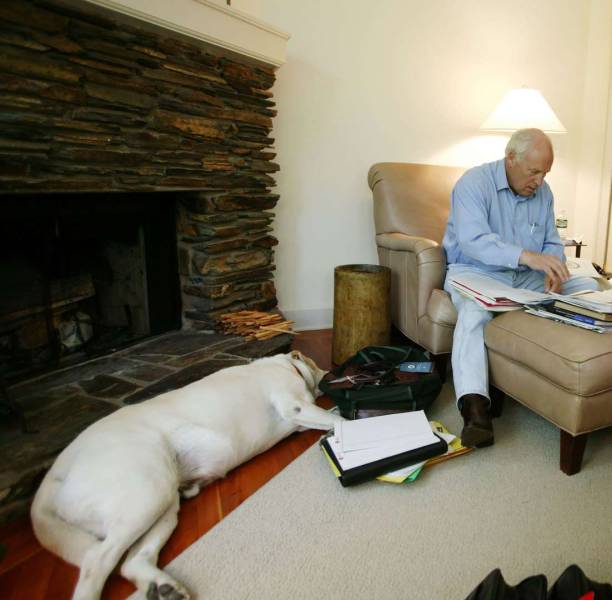 In his book, Dick Cheney says his yellow lab Dave was banned from Camp David for attacking President Bush's dog Barney.