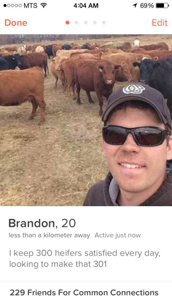 Most WTF Tinder Profiles