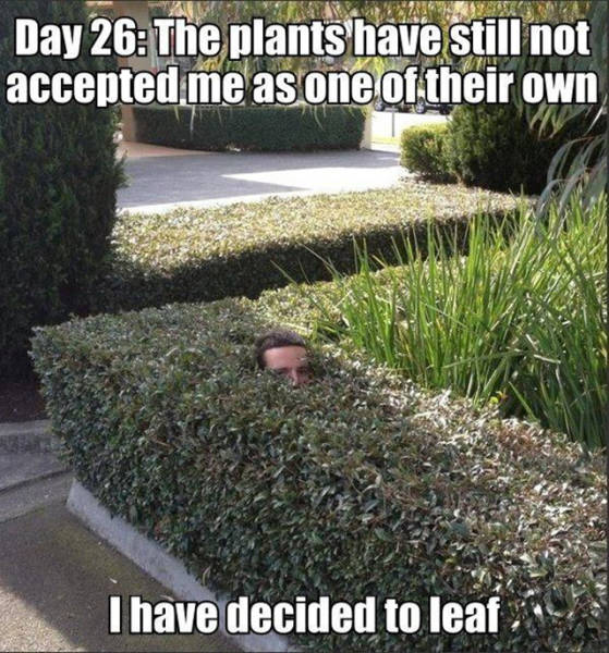 ex be like i don t care - Day 26 The plants have still not accepted me as one of their own I have decided to leaf