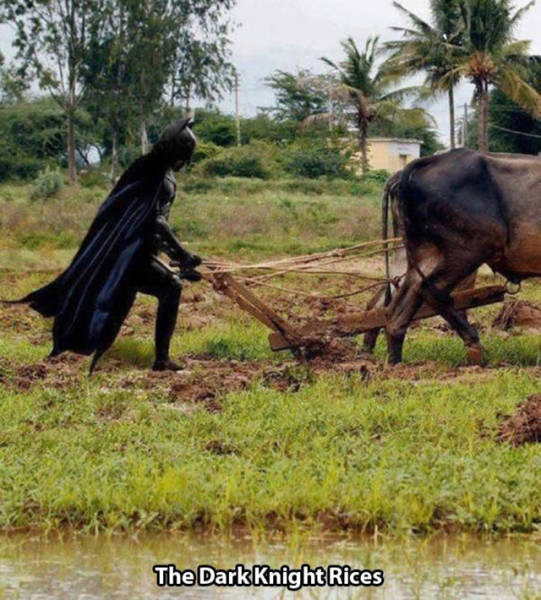 punjabi batman - Ba The Dark Knight Rices