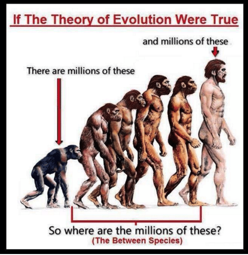if evolution was real - If The Theory of Evolution Were True and millions of these There are millions of these So where are the millions of these? The Between Species