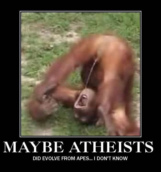 funny pictures of monkeys - Maybe Atheists Did Evolve From Apes... I Don'T Know