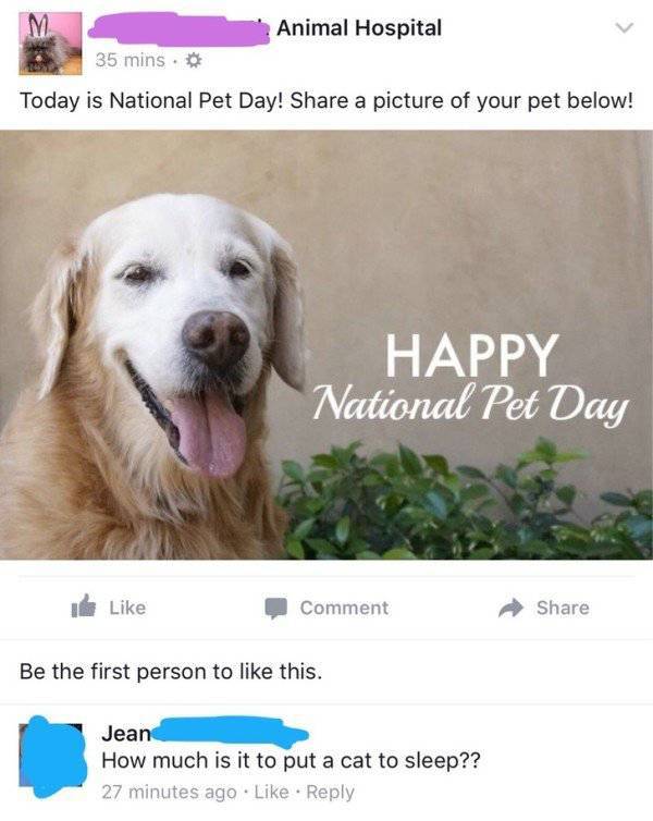 old people facebook pet day - M Animal Hospital 35 mins Today is National Pet Day! a picture of your pet below! Happy National Pet Day Comment Be the first person to this. Jean How much is it to put a cat to sleep?? 27 minutes ago