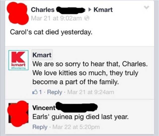 grandma facebook posts - Kmart Charles Mar 21 at am Carol's cat died yesterday. kmart More Spe Kmart We are so sorry to hear that, Charles. We love kitties so much, they truly become a part of the family. 01. Mar 21 at am Vincent Earls' guinea pig died la
