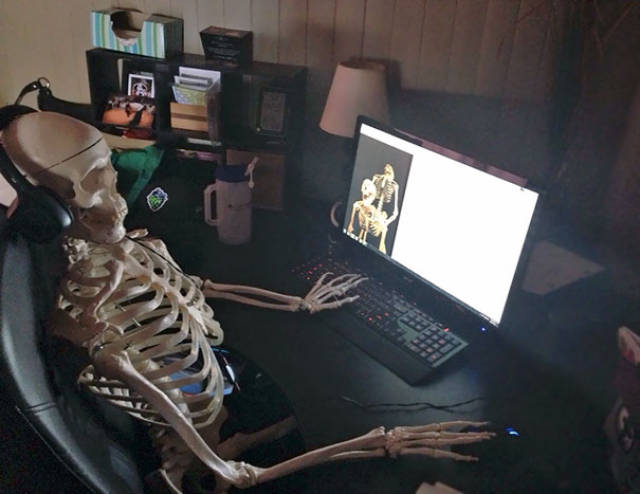 skeleton waiting computer
